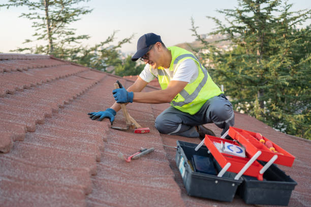 Best Best Roofing Contractors  in Cary, IL