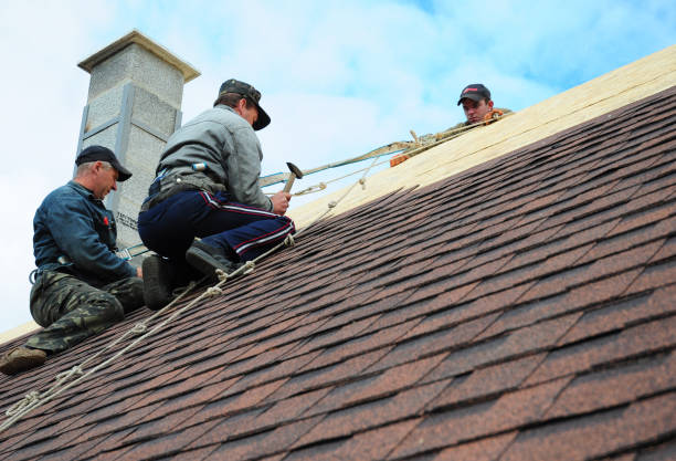 Quick and Trustworthy Emergency Roof Repair Services in Cary, IL