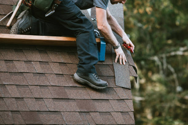 Best Shingle Roofing Installation  in Cary, IL